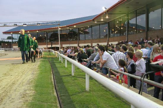 Peterborough Greyhound Stadium